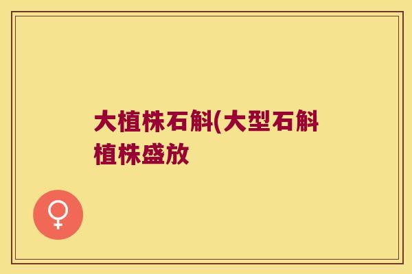 大植株石斛(大型石斛植株盛放