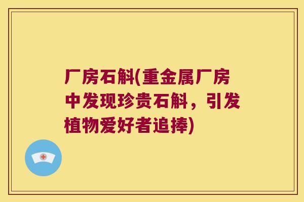 厂房石斛(重金属厂房中发现珍贵石斛，引发植物爱好者追捧)