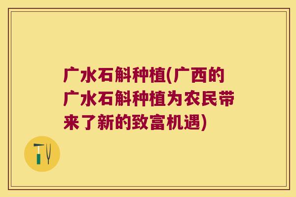 广水石斛种植(广西的广水石斛种植为农民带来了新的致富机遇)