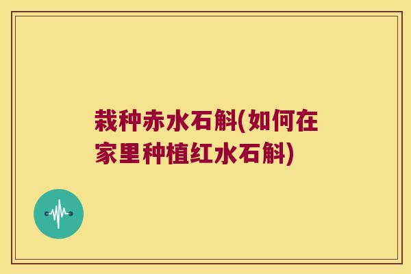 栽种赤水石斛(如何在家里种植红水石斛)