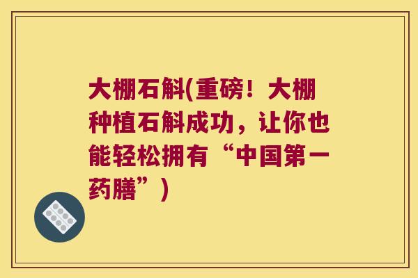 大棚石斛(重磅！大棚种植石斛成功，让你也能轻松拥有“中国第一药膳”)