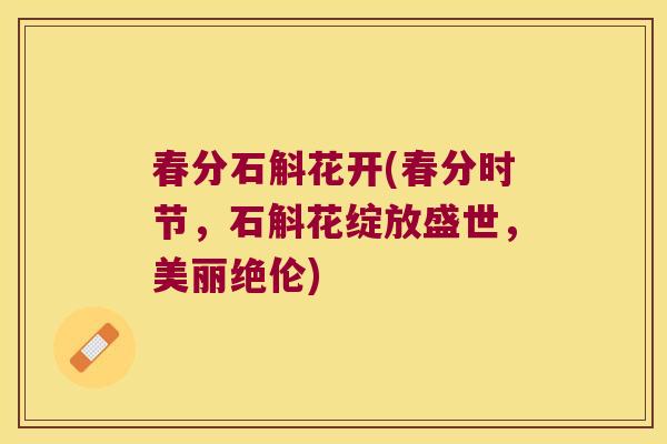 春分石斛花开(春分时节，石斛花绽放盛世，美丽绝伦)