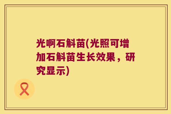 光啊石斛苗(光照可增加石斛苗生长效果，研究显示)