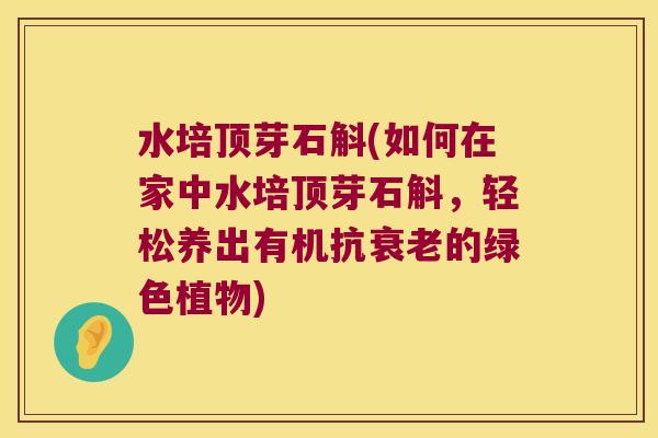 水培顶芽石斛(如何在家中水培顶芽石斛，轻松养出有机抗衰老的绿色植物)
