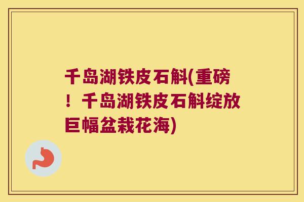 千岛湖铁皮石斛(重磅！千岛湖铁皮石斛绽放巨幅盆栽花海)