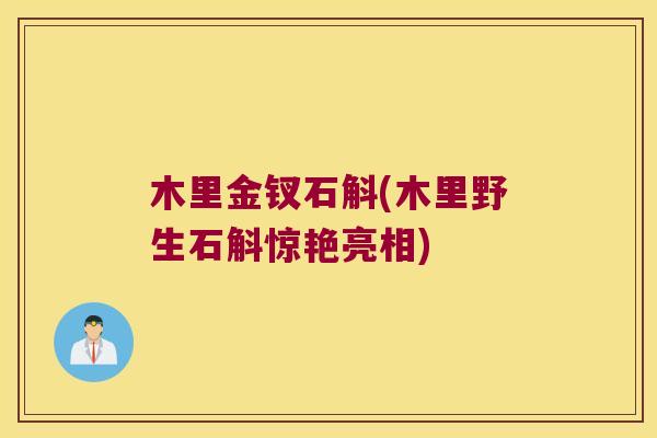 木里金钗石斛(木里野生石斛惊艳亮相)