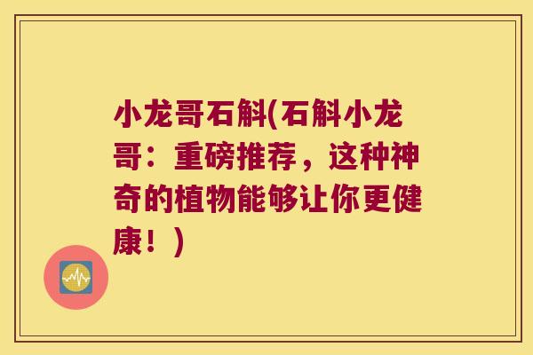 小龙哥石斛(石斛小龙哥:重磅推荐,这种神奇的植物能够让你更健康!) 小龙哥石斛(石斛小龙哥:重磅推荐,这种神奇的植物能够让你更健康!)