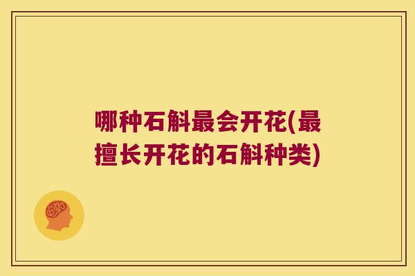 哪种石斛最会开花(最擅长开花的石斛种类)