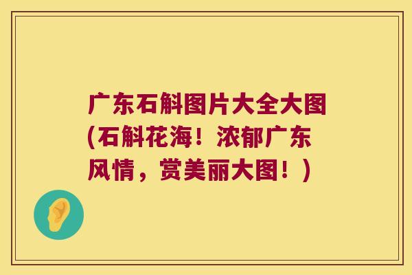 广东石斛图片大全大图(石斛花海！浓郁广东风情，赏美丽大图！)