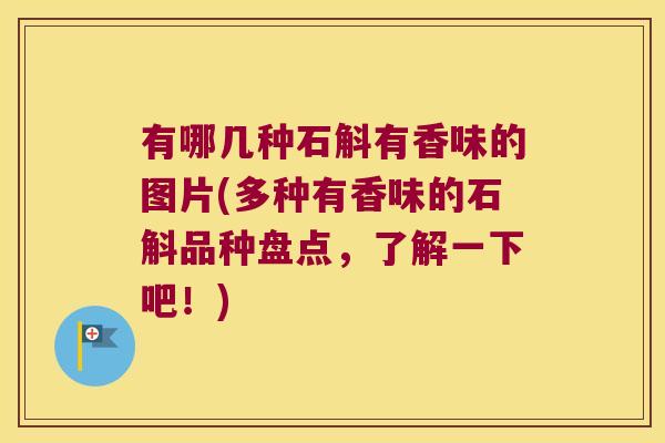 有哪几种石斛有香味的图片(多种有香味的石斛品种盘点，了解一下吧！)