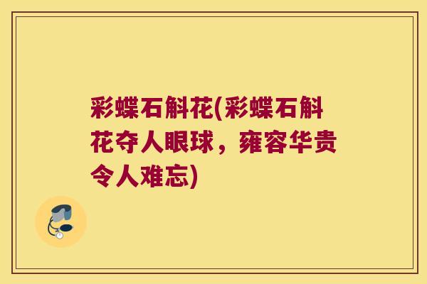 彩蝶石斛花(彩蝶石斛花夺人眼球，雍容华贵令人难忘)