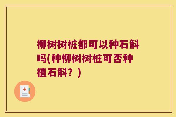 柳树树桩都可以种石斛吗(种柳树树桩可否种植石斛？)