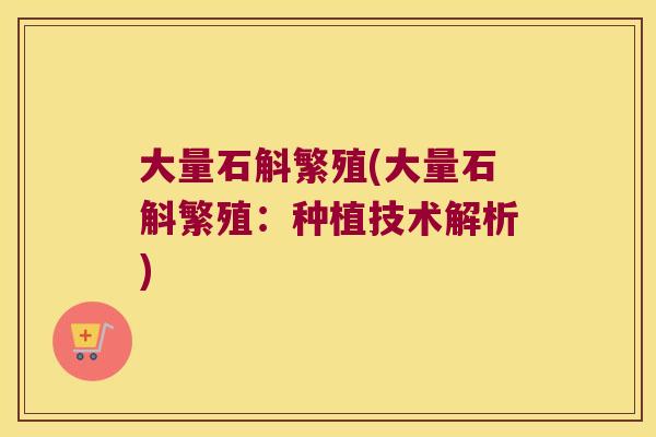 大量石斛繁殖(大量石斛繁殖:种植技术解析) 大量石斛繁殖(大量石斛繁殖:种植技术解析)