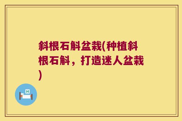 斜根石斛盆栽(种植斜根石斛，打造迷人盆栽)
