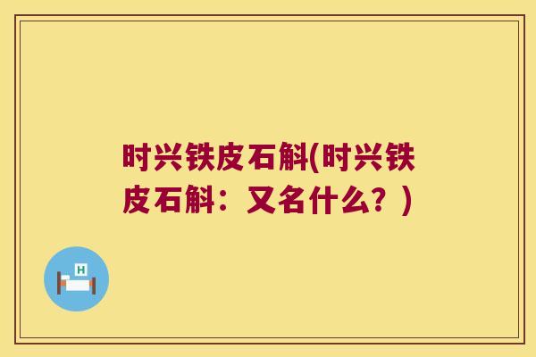 时兴铁皮石斛(时兴铁皮石斛：又名什么？)