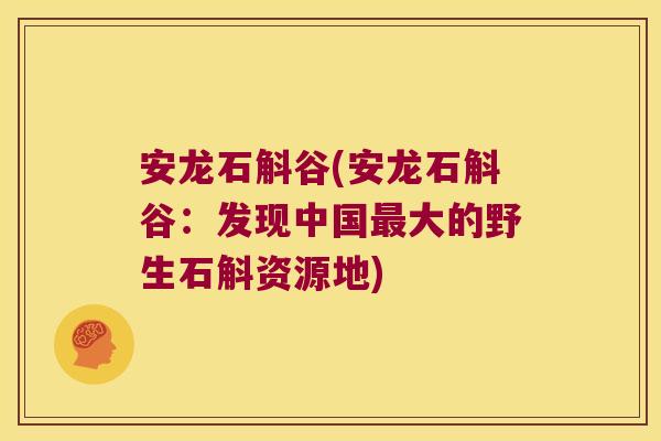 安龙石斛谷(安龙石斛谷：发现中国最大的野生石斛资源地)