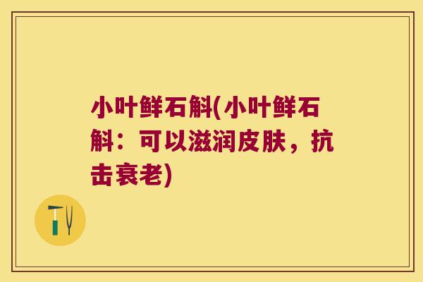 小叶鲜石斛(小叶鲜石斛：可以滋润皮肤，抗击衰老)