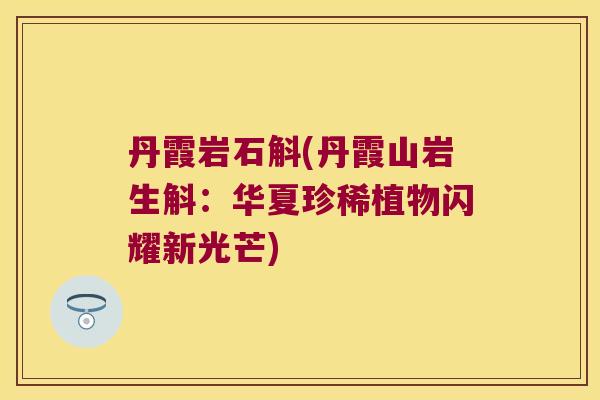 丹霞岩石斛(丹霞山岩生斛：华夏珍稀植物闪耀新光芒)