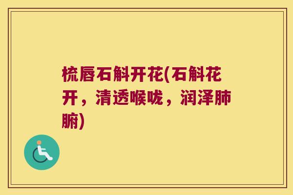 梳唇石斛开花(石斛花开，清透喉咙，润泽肺腑)