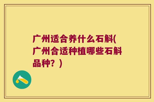 广州适合养什么石斛(广州合适种植哪些石斛品种？)