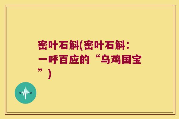 密叶石斛(密叶石斛：一呼百应的“乌鸡国宝”)