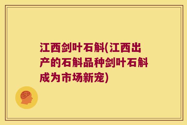 江西剑叶石斛(江西出产的石斛品种剑叶石斛成为市场新宠)