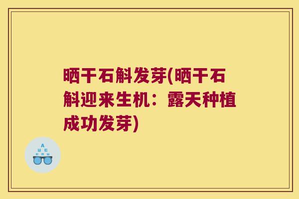 晒干石斛发芽(晒干石斛迎来生机：露天种植成功发芽)