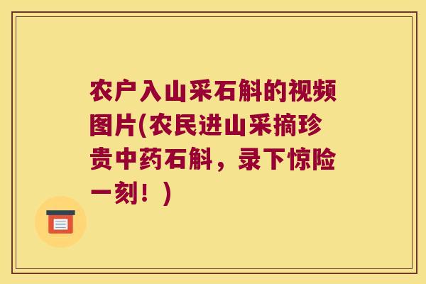 农户入山采石斛的视频图片(农民进山采摘珍贵中药石斛，录下惊险一刻！)