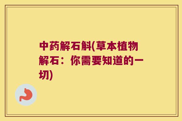 中药解石斛(草本植物解石：你需要知道的一切)