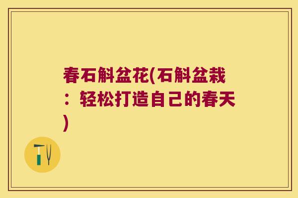 春石斛盆花(石斛盆栽：轻松打造自己的春天)