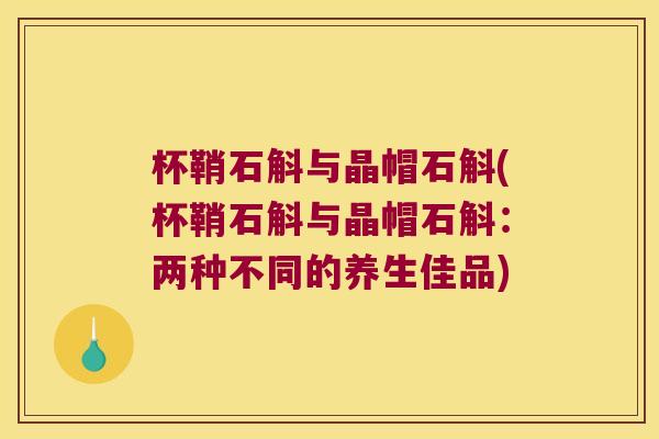 杯鞘石斛与晶帽石斛(杯鞘石斛与晶帽石斛：两种不同的养生佳品)