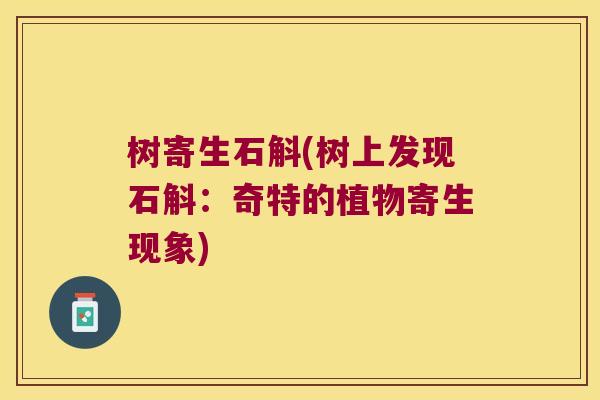树寄生石斛(树上发现石斛:奇特的植物寄生现象) 树寄生石斛(树上发现石斛:奇特的植物寄生现象)