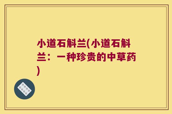 小道石斛兰(小道石斛兰：一种珍贵的中草药)
