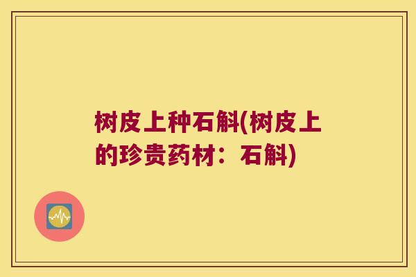 树皮上种石斛(树皮上的珍贵药材：石斛)