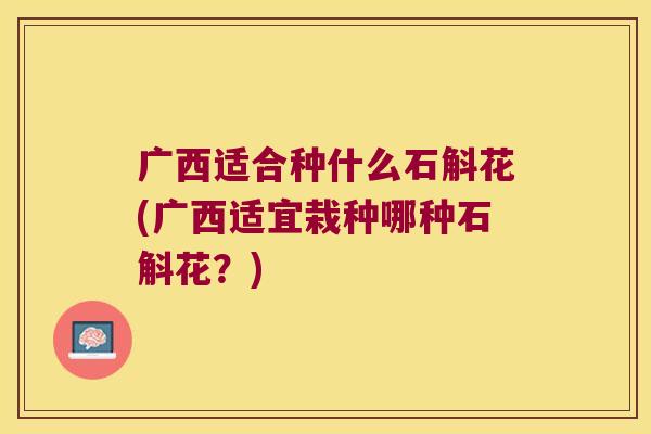 广西适合种什么石斛花(广西适宜栽种哪种石斛花？)