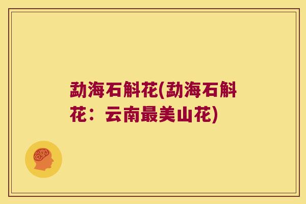 勐海石斛花(勐海石斛花：云南最美山花)