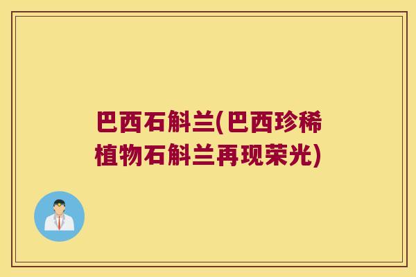 巴西石斛兰(巴西珍稀植物石斛兰再现荣光)