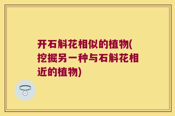 开石斛花相似的植物(挖掘另一种与石斛花相近的植物)