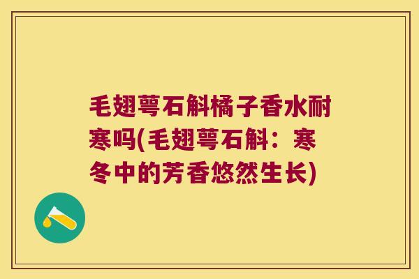 毛翅萼石斛橘子香水耐寒吗(毛翅萼石斛:寒冬中的芳香悠然生长) 毛翅萼石斛橘子香水耐寒吗(毛翅萼石斛:寒冬中的芳香悠然生长)