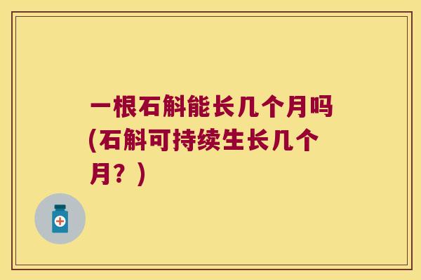 一根石斛能长几个月吗(石斛可持续生长几个月？)