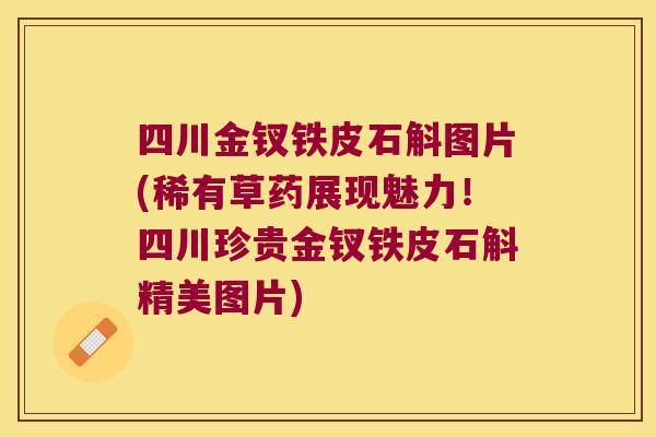 四川金钗铁皮石斛图片(稀有草药展现魅力！四川珍贵金钗铁皮石斛精美图片)