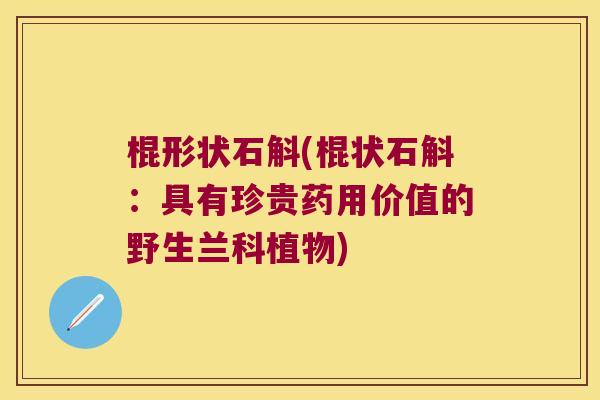 棍形状石斛(棍状石斛：具有珍贵药用价值的野生兰科植物)