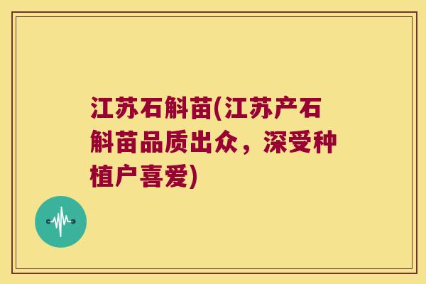 江苏石斛苗(江苏产石斛苗品质出众，深受种植户喜爱)