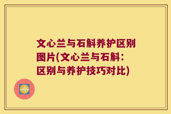 文心兰与石斛养护区别图片(文心兰与石斛：区别与养护技巧对比)