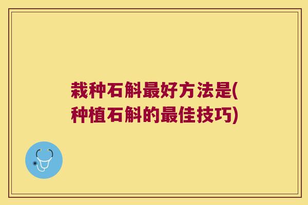 栽种石斛最好方法是(种植石斛的最佳技巧)