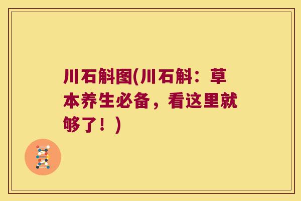川石斛图(川石斛：草本养生必备，看这里就够了！)