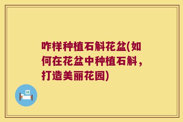 咋样种植石斛花盆(如何在花盆中种植石斛，打造美丽花园)