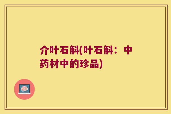 介叶石斛(叶石斛：中药材中的珍品)