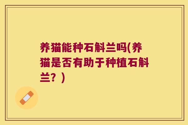 养猫能种石斛兰吗(养猫是否有助于种植石斛兰？)