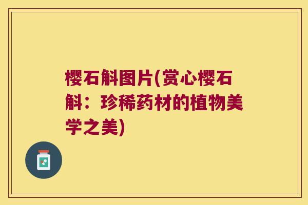 樱石斛图片(赏心樱石斛：珍稀药材的植物美学之美)